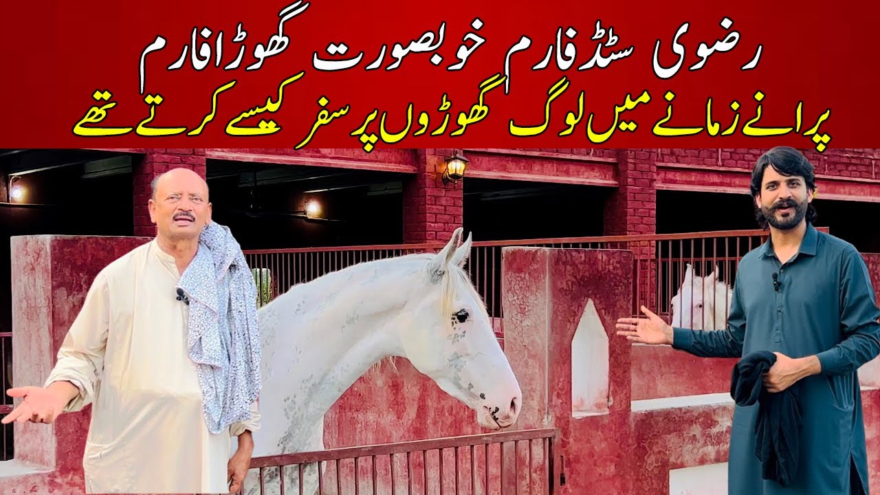Rizvi Stud Farm Gujranwala || Most beautiful stables and desi horse breed of Pakistan || best ideas