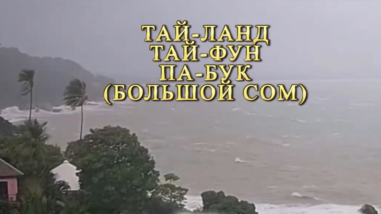Krabi 1_5 -Tropical Storm Pabuk (2019)