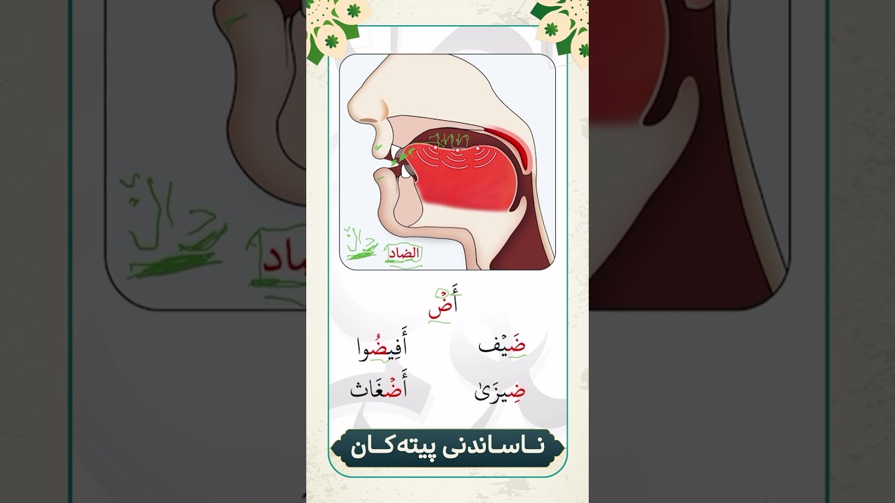 ناساندنی پیتی(ضاد)