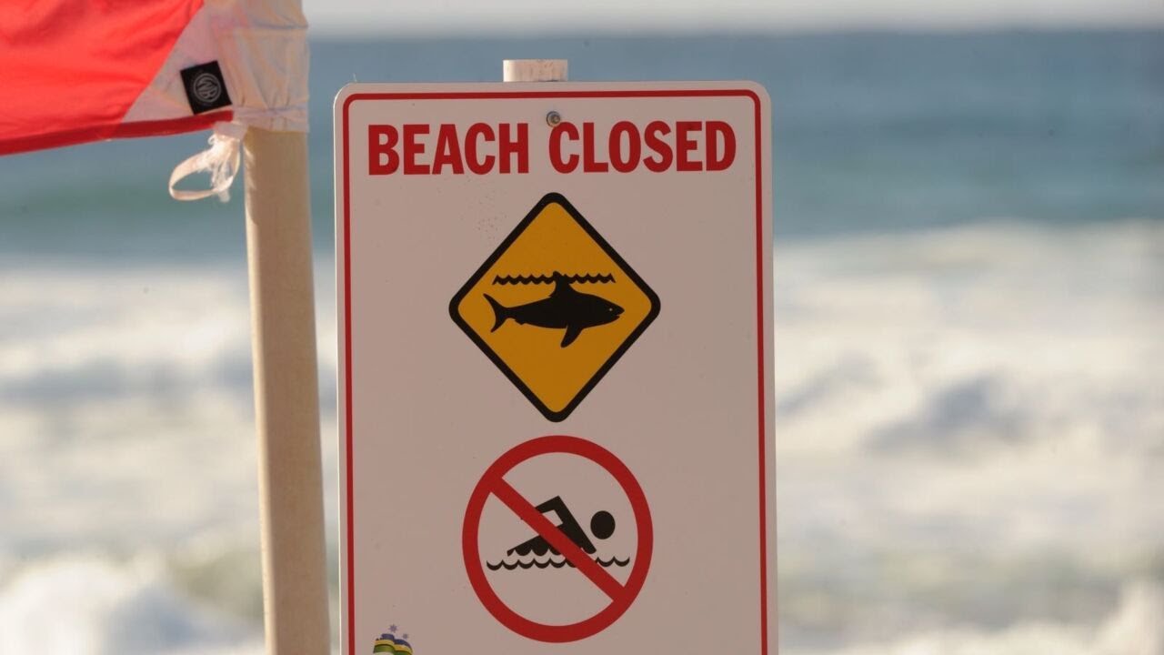 Rescue operation underway at new Penrith beach