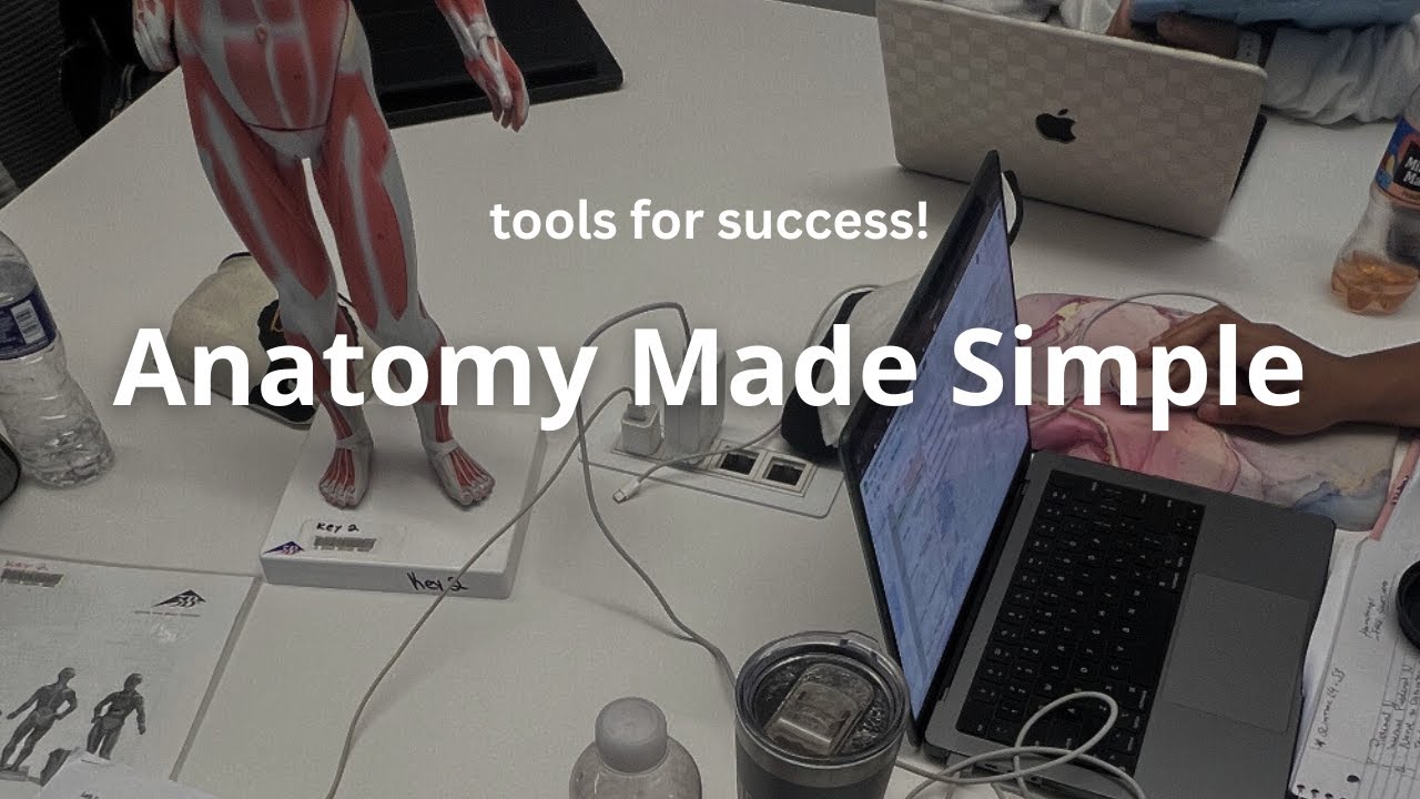 Anatomy Made Simple: How I Studied MSK Anatomy in Medical School