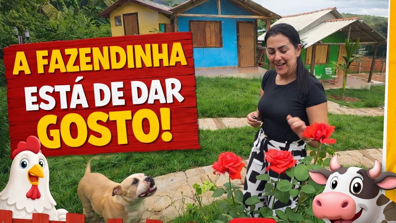DEPOIS DE DUAS SEMANAS ,PASSAMOS NA FAZENDINHA!