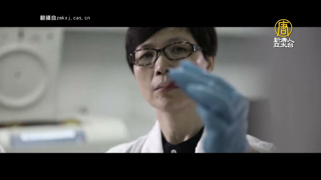 武漢病毒所P4實驗室 疑點速覽