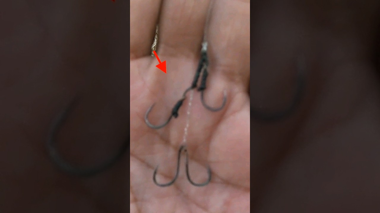 Rangkaian Pancing Belanak Umpan Tepung Racikan Kering #mancingbelanak #mulletfishing #mancing