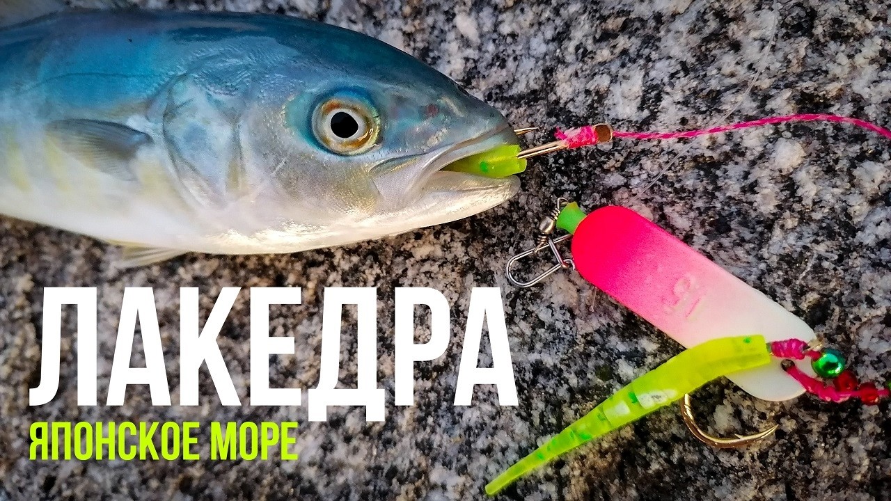 море КИПИТ от хищника. Морская рыбалка в Приморском крае. Бухта Шепалово