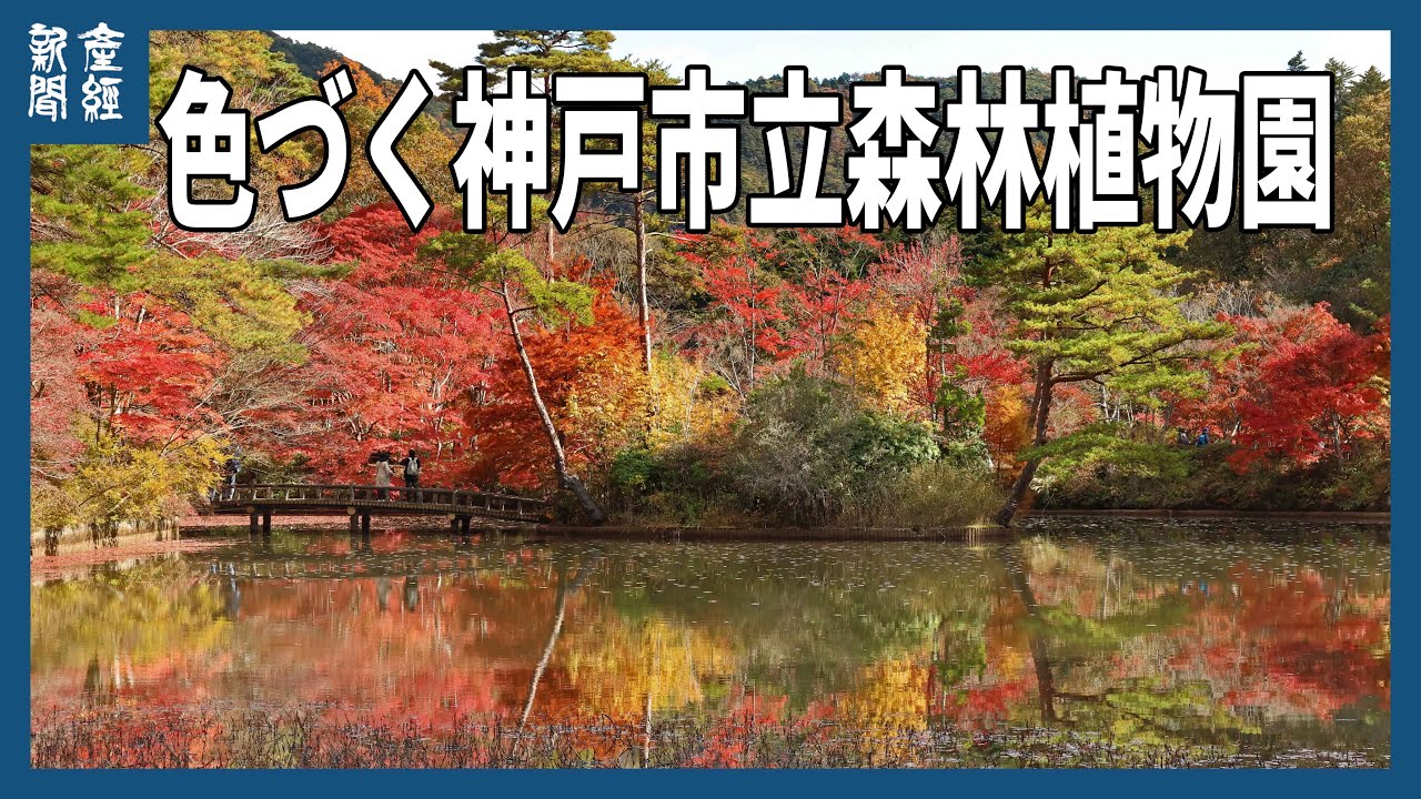 赤・黄・橙　秋色の神戸市立森林植物園