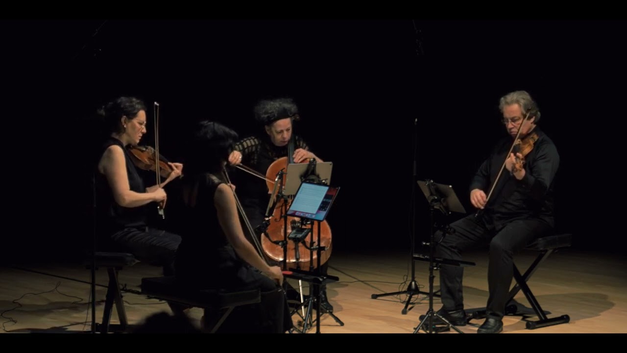 Paolo Griffin - Adherence Quatuor Bozzini
