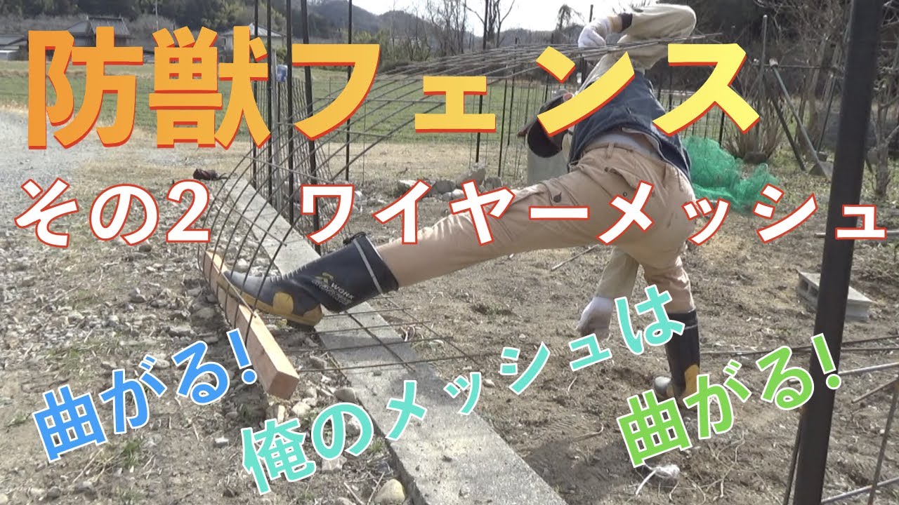 防獣フェンス　その２　パンツ破れるワイヤーメッシュ