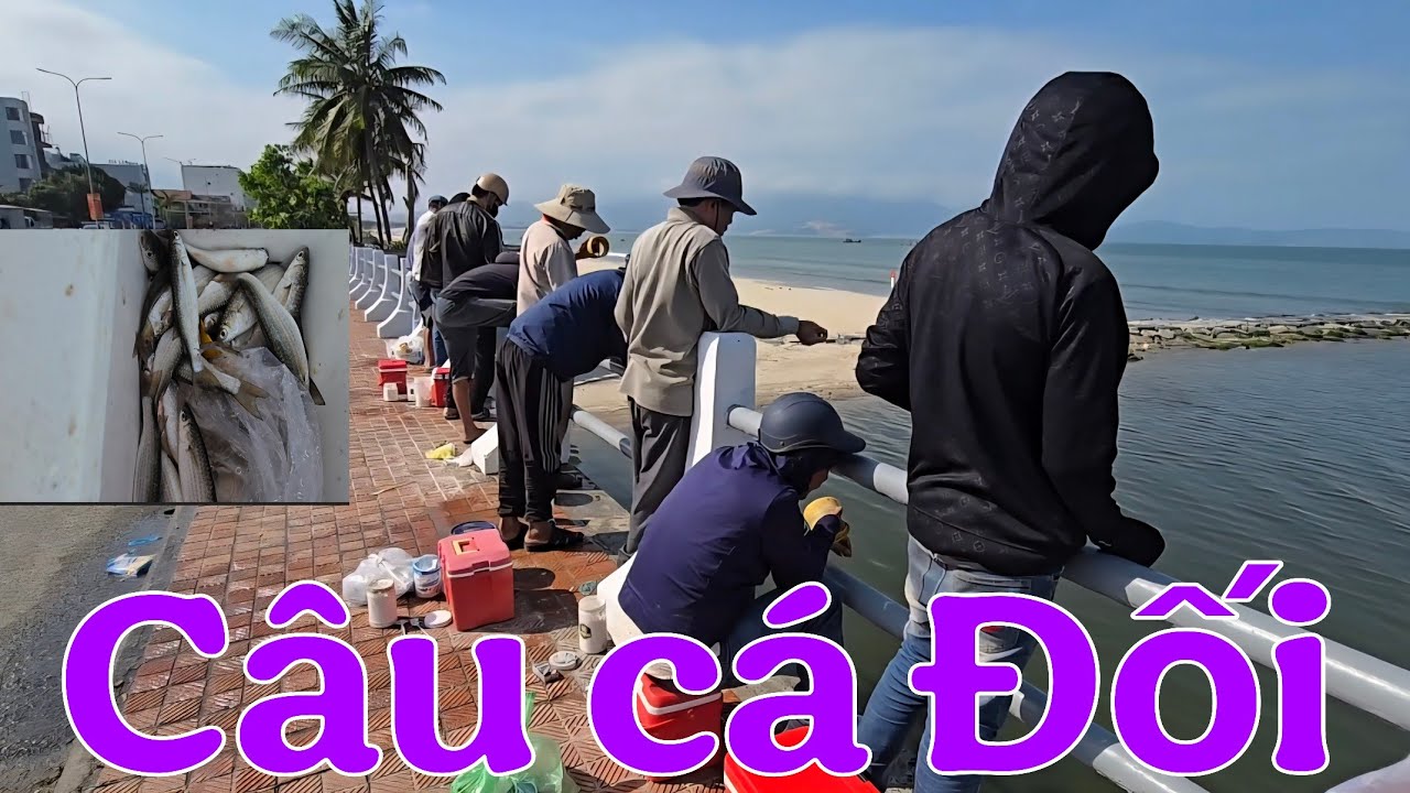 Qui trình câu cá đối bằng chai nhựa tại cầu Phú Lộc, Thanh Khê,Đà Nẵng!
