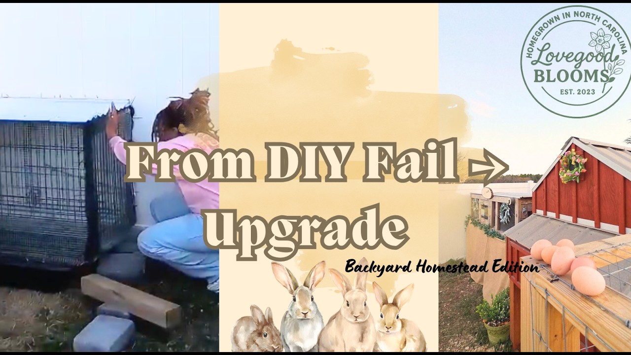 My Husband Replaced My DIY Rabbit Hutch | Backyard Homestead Upgrade