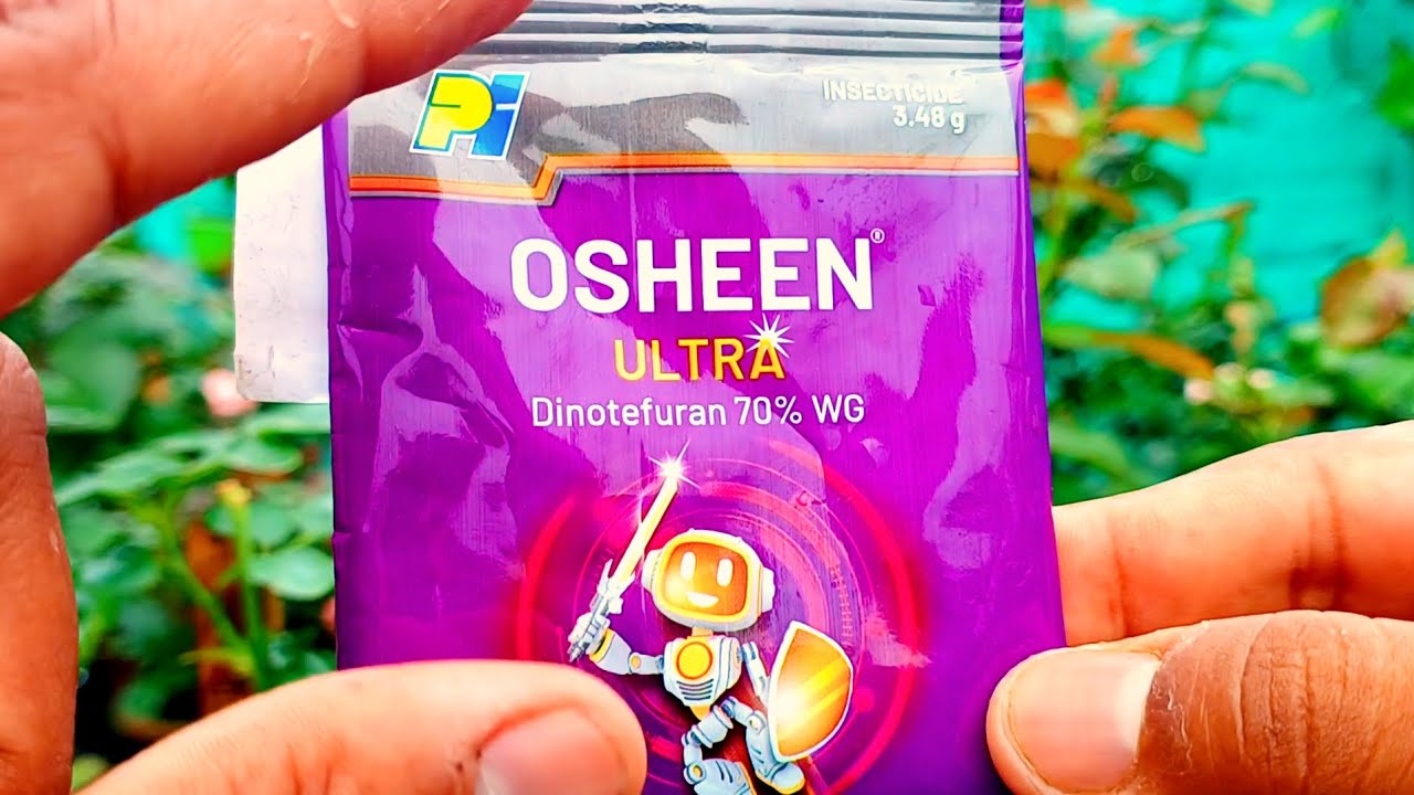 Are You Using the RIGHT Insecticide for Your Rose Plants?