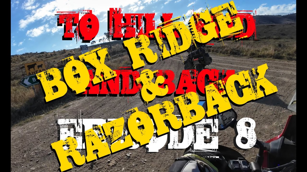 TO HILL END & BACK - EP8 - BOXRIDGE & RAZORBACK RD - HONDA AFRICA TWIN CRF1000