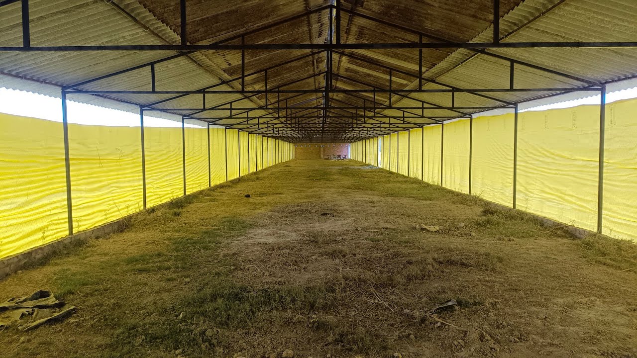 230×28 ft Normal shed construction Cost|| 5000 Birds ka Poultry farm Banane ka Total kharcha|