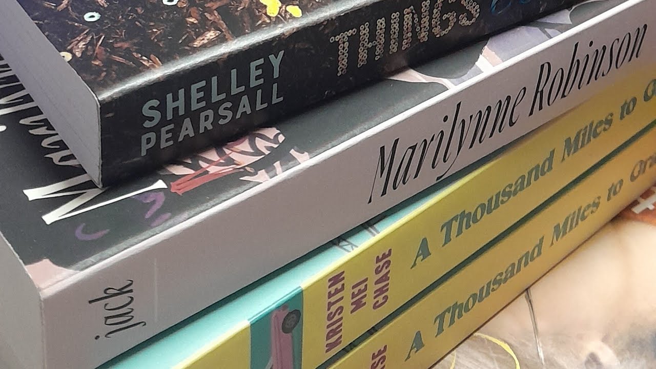 Dollartree Book Haul