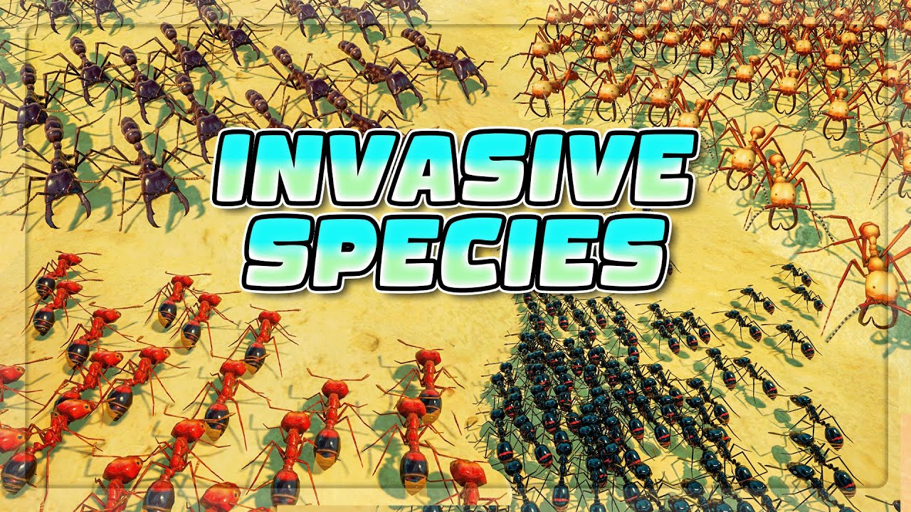 I FORCED ALL INVASIVE ANT SPECIES TO BATTLE in Empires Of The Undergrowth