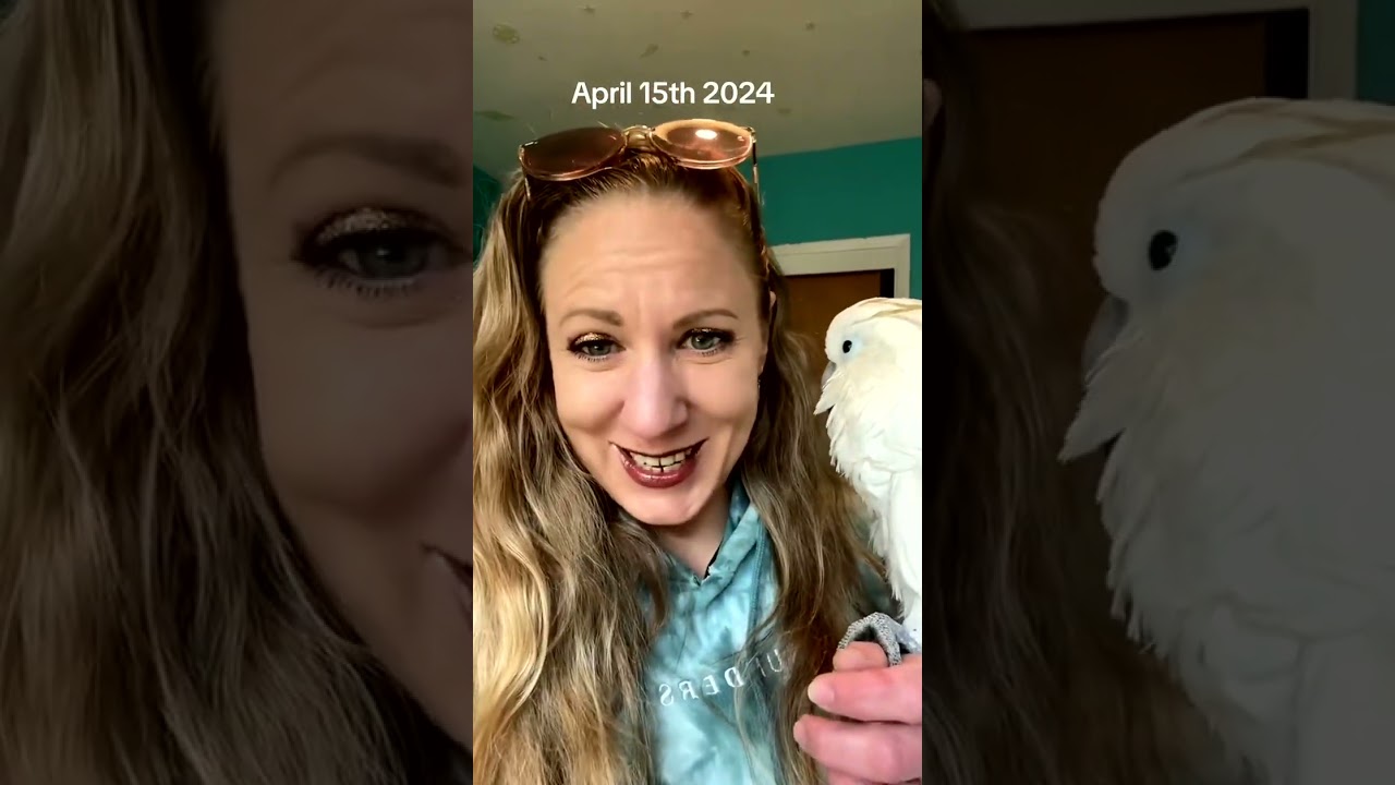 Parrot Making Funny Noises at Night