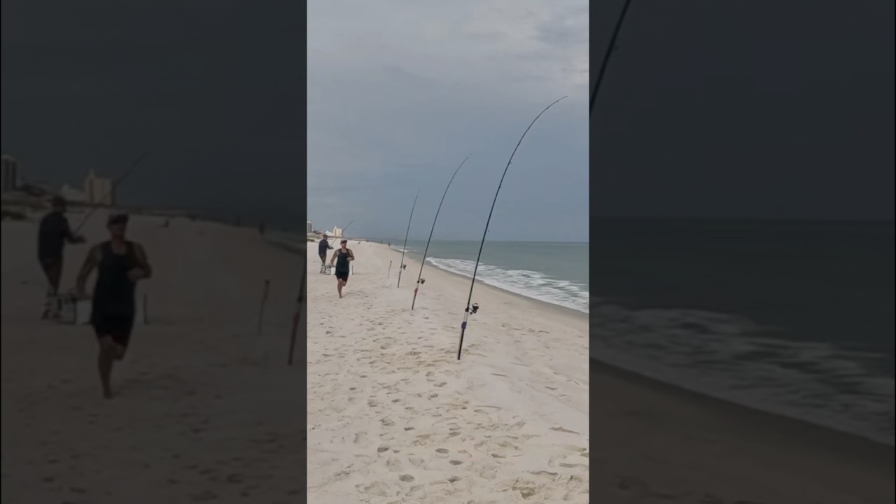 🔥 The Rods are on 🔥 @ Pensacola Beach! #fishing #reels #fyp #summer #fypage #fypシ゚viral