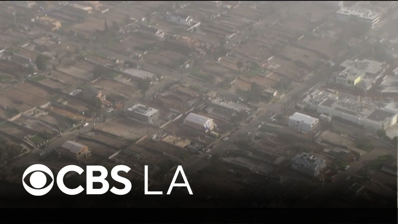 An aerial view of the Palisades Fire burn scar and a look at the rebuilding progress