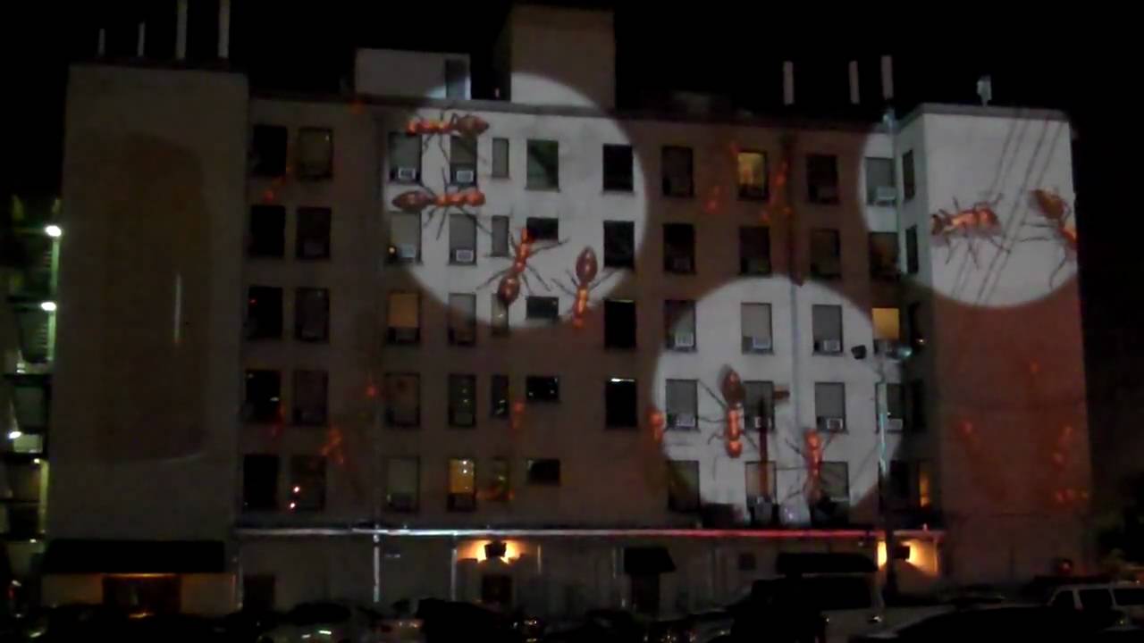 Giant Ants Invade Houston