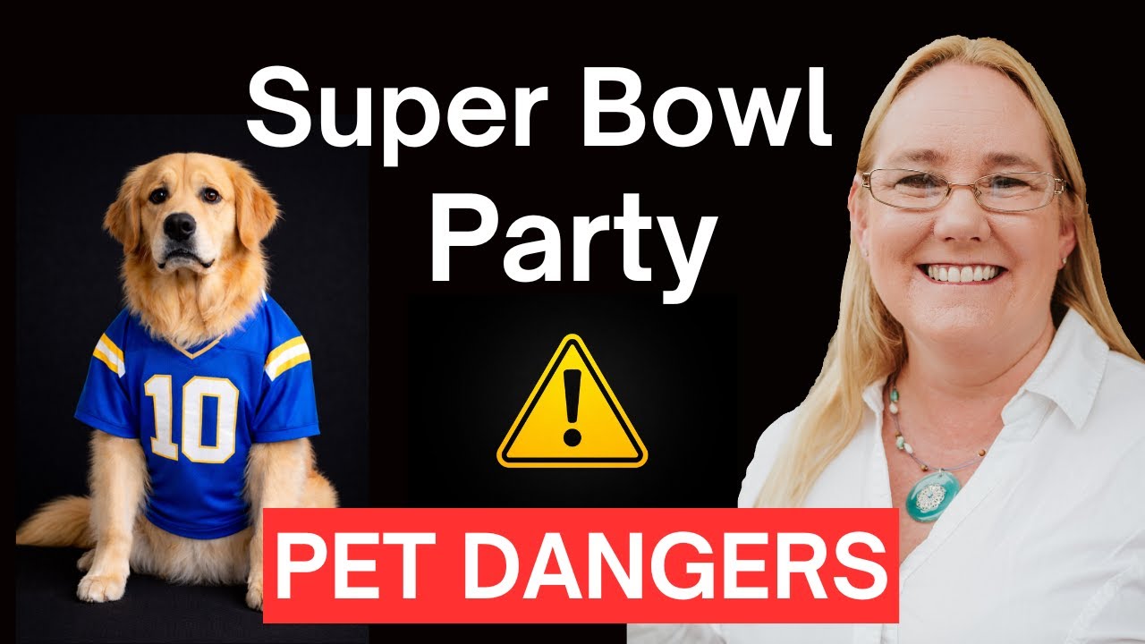 Super Bowl Pet Safety: What You Need To Know (From a Vet Tech)