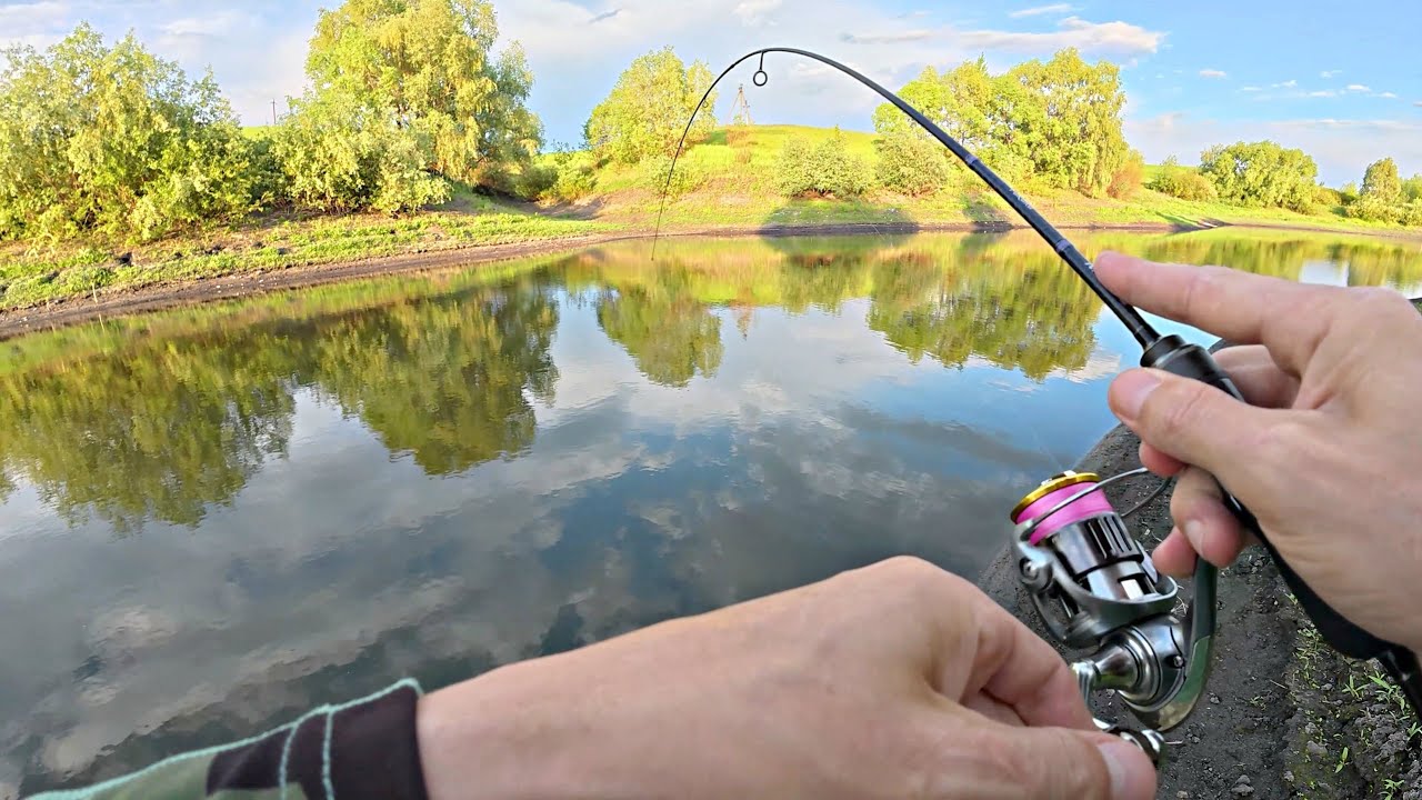 МОЩНАЯ РЫБА ЗАВЯЗЫВАЕТ СПИННИГ В УЗЕЛ, НЕ МОГУ С НЕЙ СОВЛАДАТЬ! Впервые такая Рыбалка 2025.