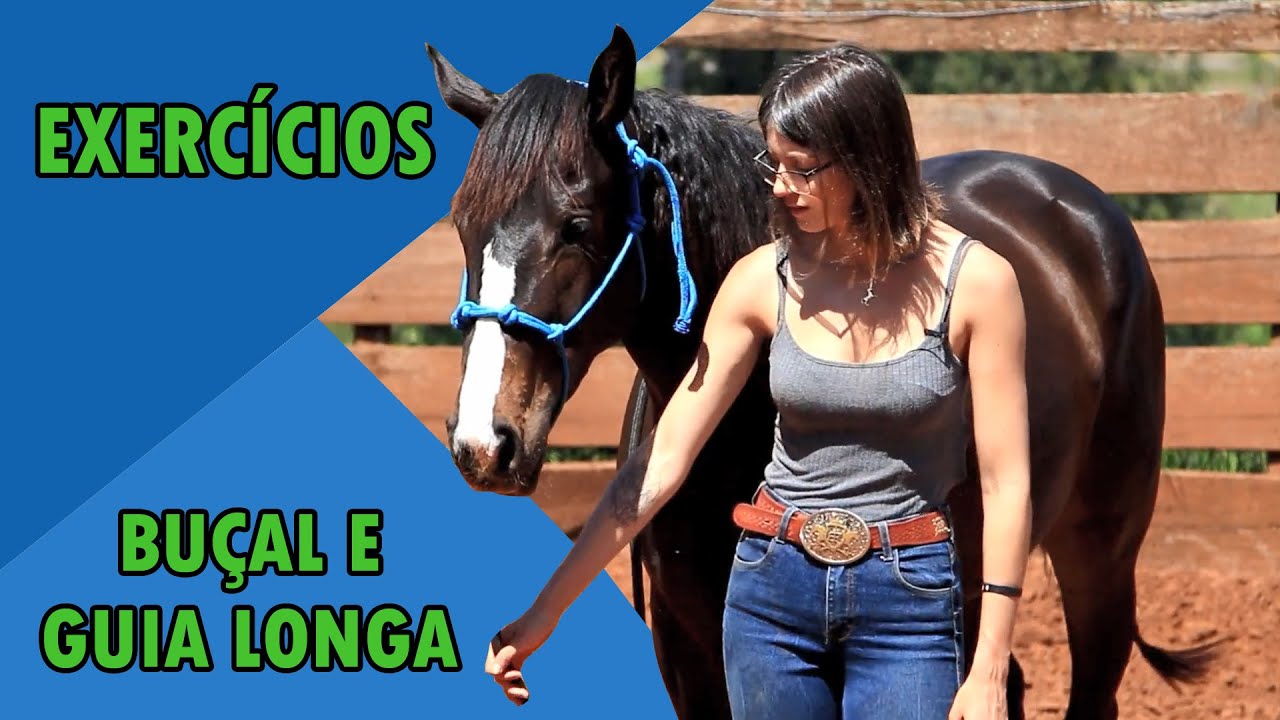 DOMA - Técnicas com Buçal