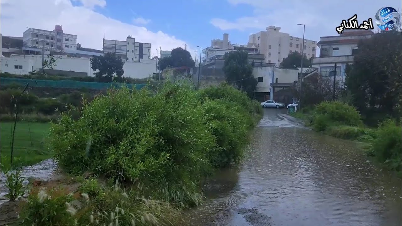 امطار محافظة المندق - ظهر اليوم الأحد 25-6-1445بمنطقة الباحة #اجواء #امطار