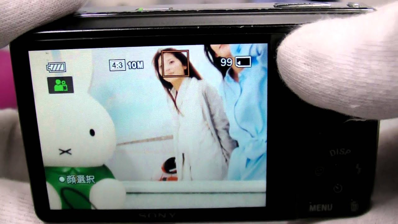 DSC-WX1