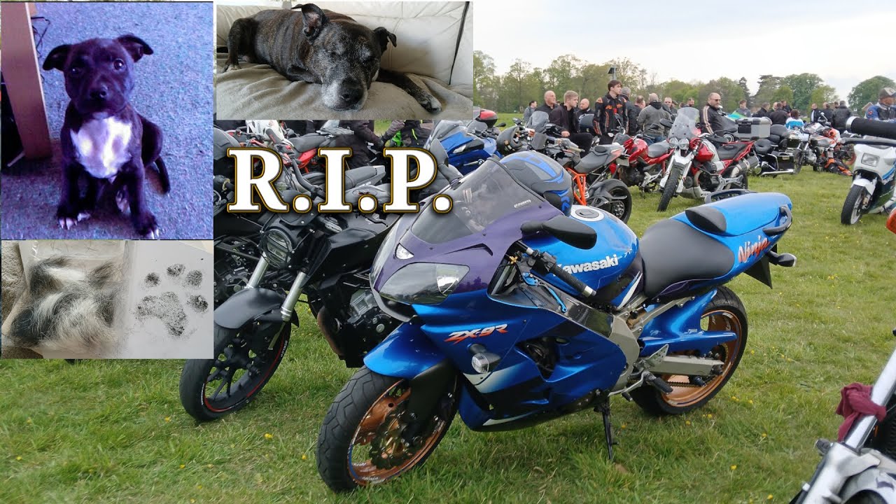 Where Have I Been? + First Ride Out For Months + Some Sad News!