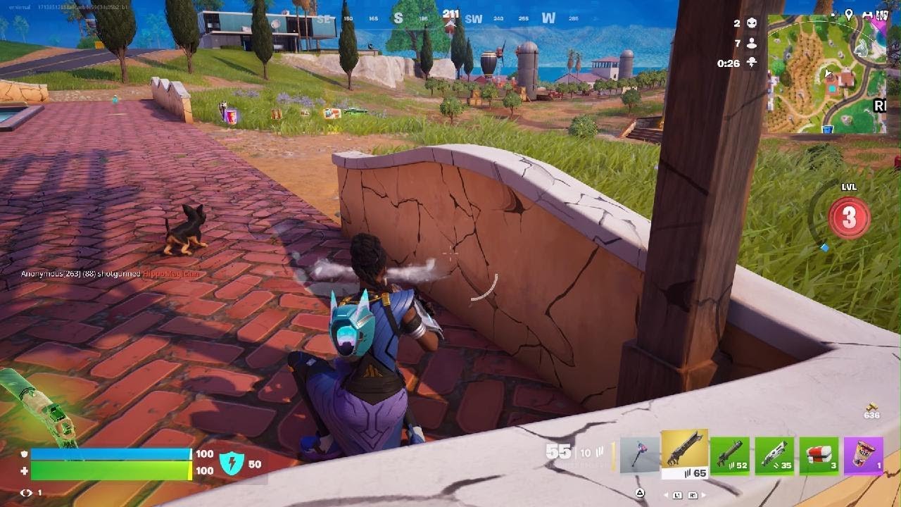 Fortnite_20260211002045
