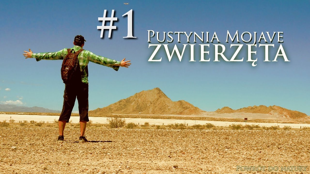 Zwierzęta pustyni Mojave - USA