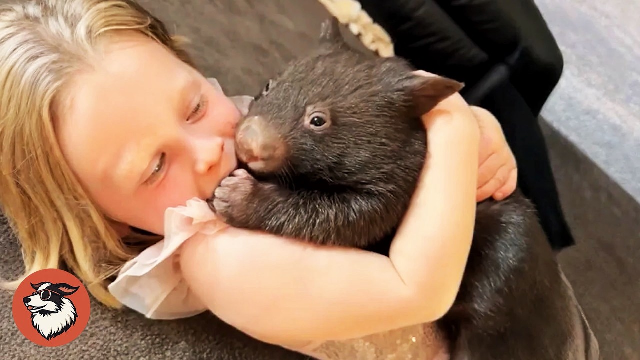 She Saved a Baby Wombat After the Fire, Now It Won&rsquo;t Leave Her Side