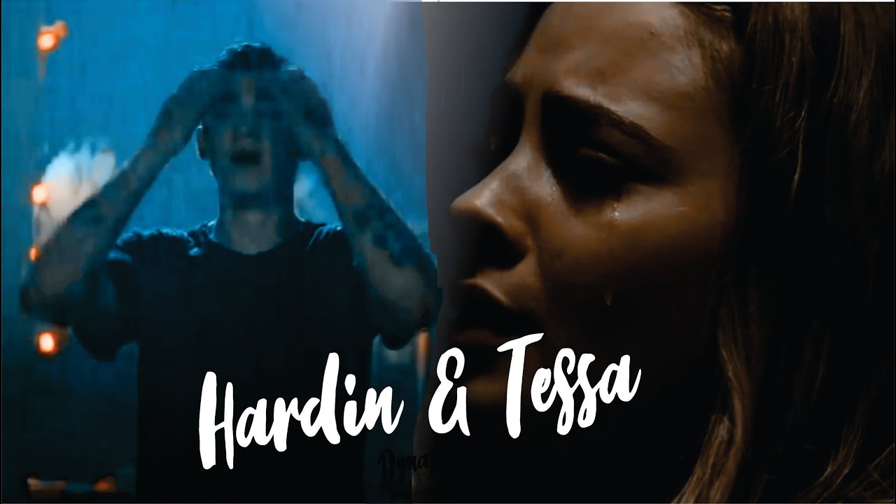 ✨ «Hardin + Tessa | 