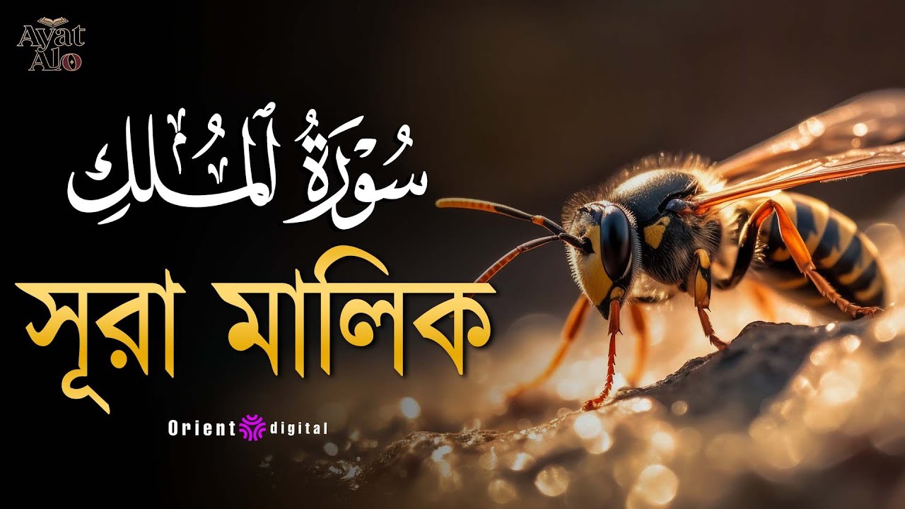 অন্তর কাঁপানো হৃদয়স্পর্শী কণ্ঠে সূরা মুলক (سورة الملك) | Surah Al-Mulk by Sheikh Ragab Al-Naggar