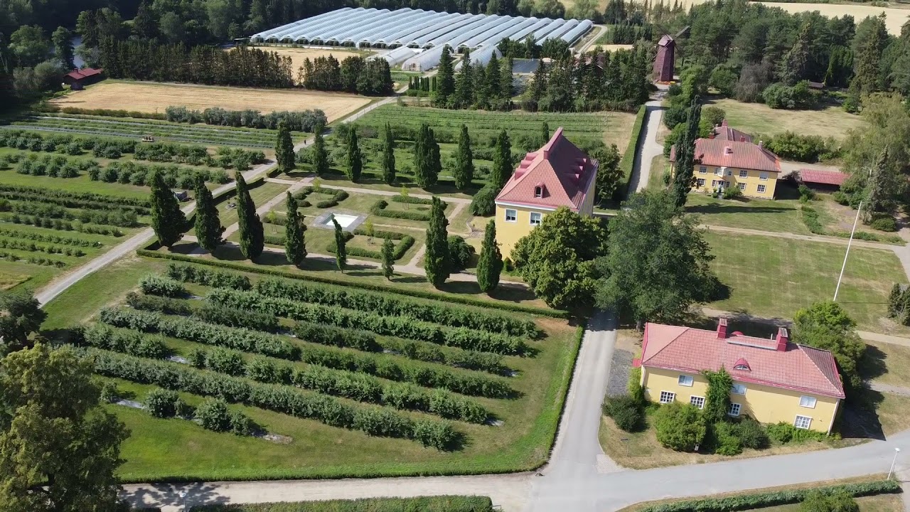 Lepaa, Petäys ja Hämeenlinna