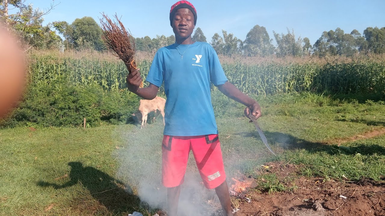 To clean compound at home and cutting feed of animal 