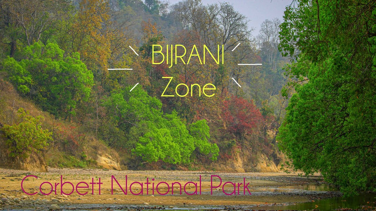 Bijrani Zone | Virtual Tour | Corbett National Park |