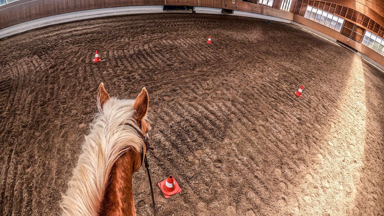 Reittraining - Beinsalat im Quadrat