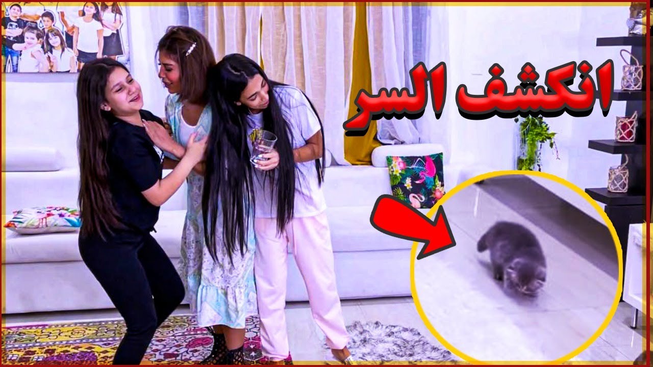 نور وشهد مايبون امهم تدري عن القطه وجابو العيد !
