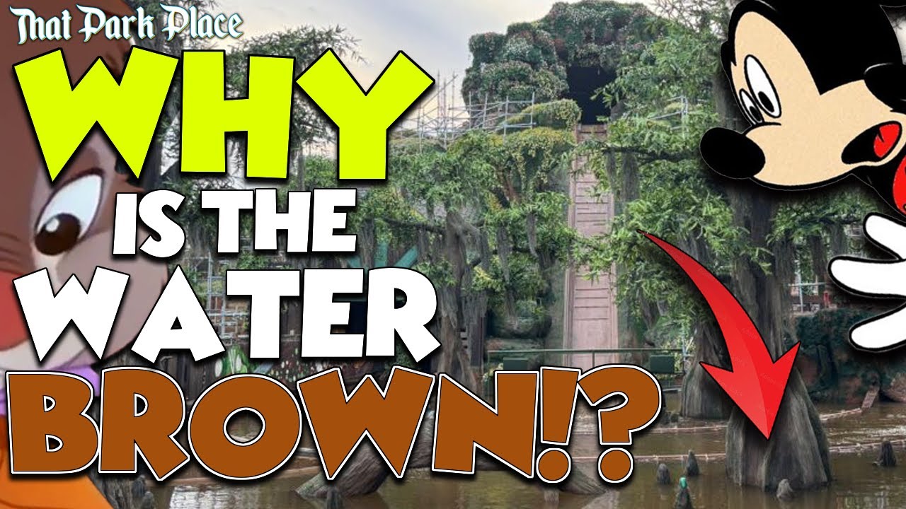 Disney's New Tiana Ride Has Brown Water ON PURPOSE! But Why... | Splash Mountain | Bayou Adventure