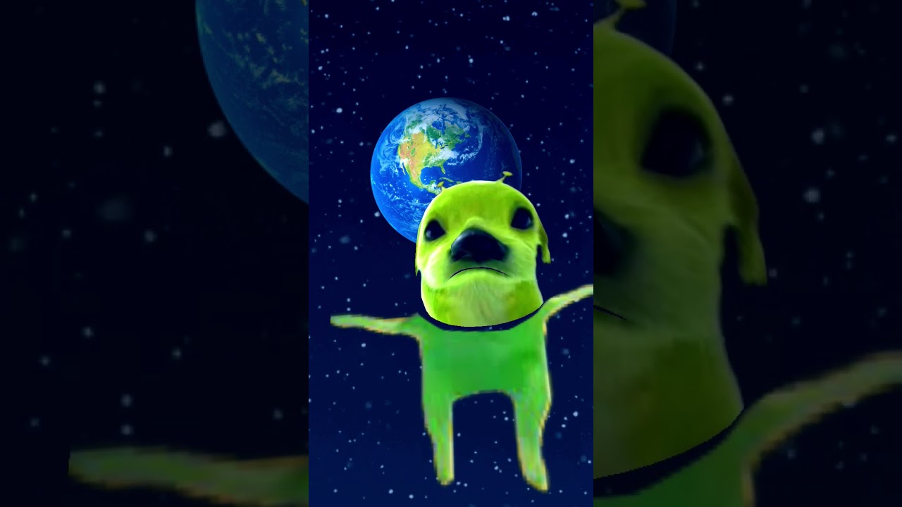 this is so embarrassing#filter#aliendog