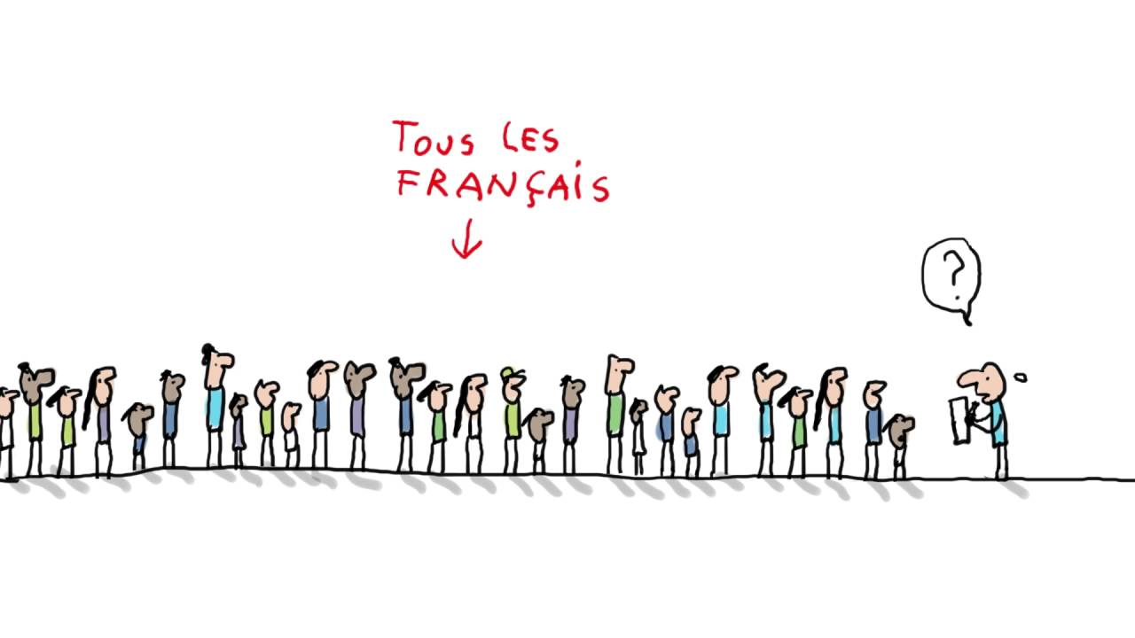 À quoi ça sert les sondages ? - 1 jour, 1 question