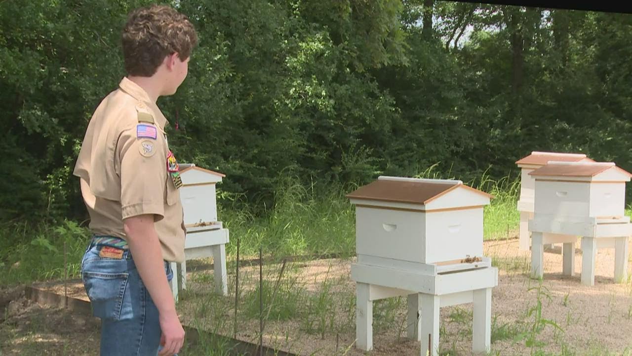 This Boy Scout in Dallas-Fort Worth is creating quite the buzz after winning rare award