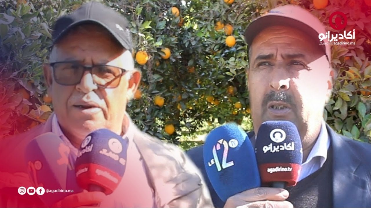 بالفيديو.. فلاحون بمنطقة الكردان ضواحي تارودانت يدقون ناقوس الخطر