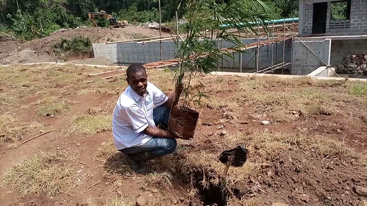 Sustainable Development Goals in Kenya #ClimateAction Trend Series.