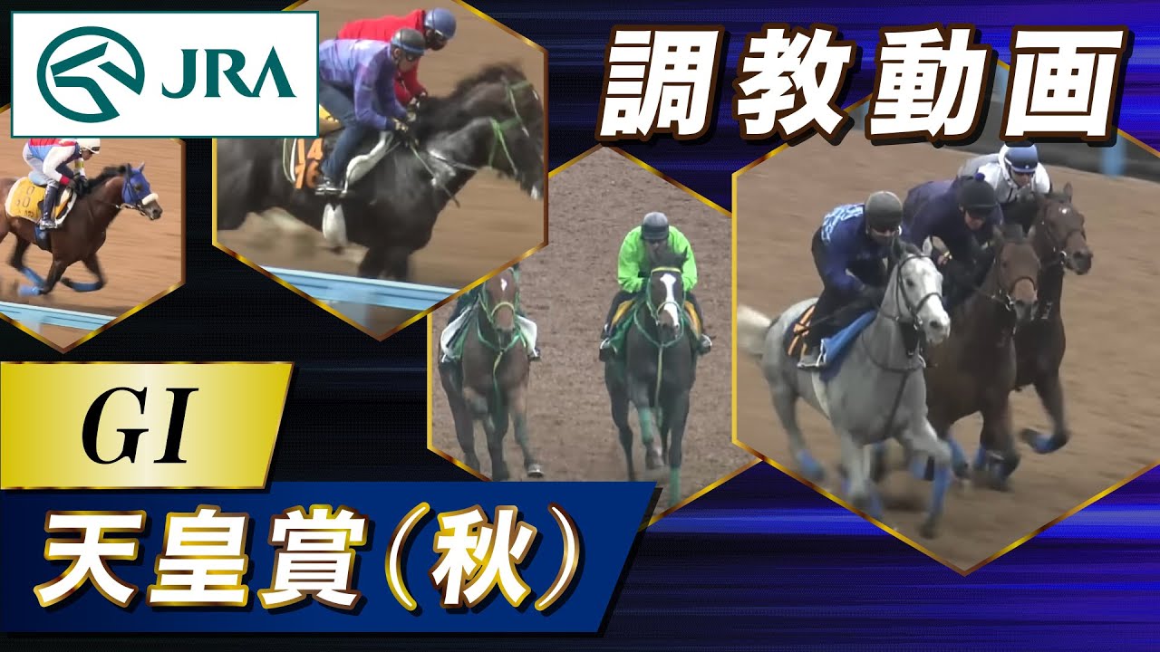 【調教動画】2025年 天皇賞（秋）｜JRA公式