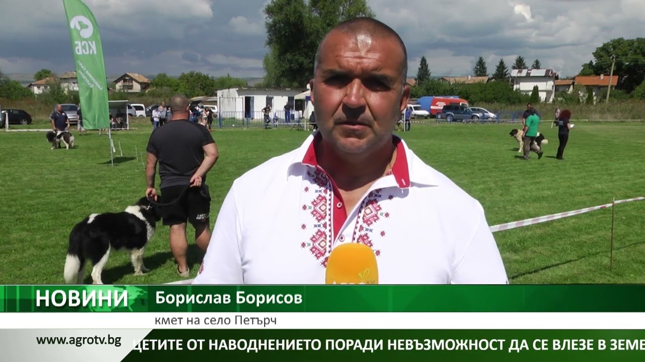 Изложба на Българско овчарско куче в село Петърч