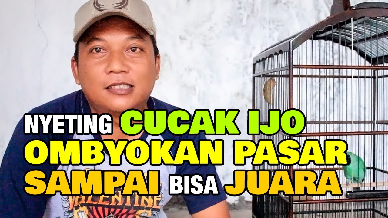 NYETING CUCAK IJO OMBYOKAN PASAR SAMPAI BISA JUARA