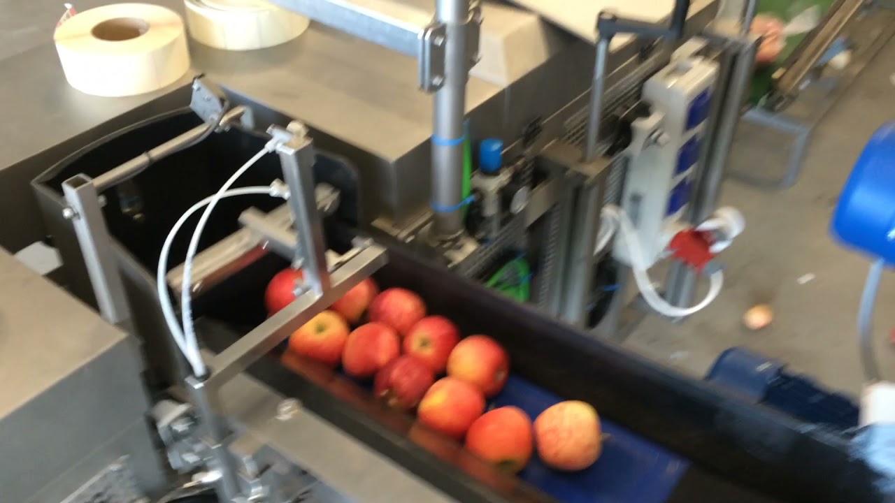Newtec Htech weighing line for gentle products, in this example for Apples