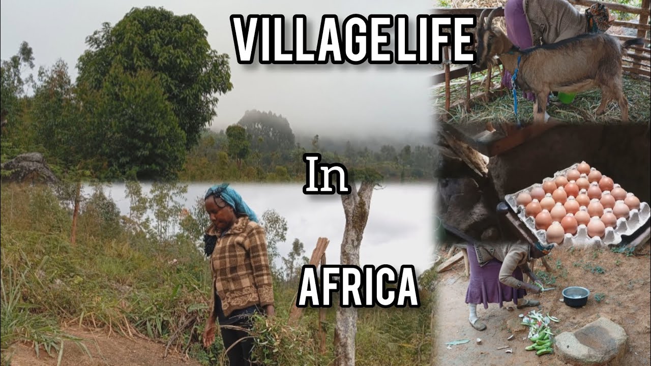 A DAY IN MY LIFE IN THE VILLAGE//Cold& rainy day 🌧️//Cooking organic food//Selling eggs